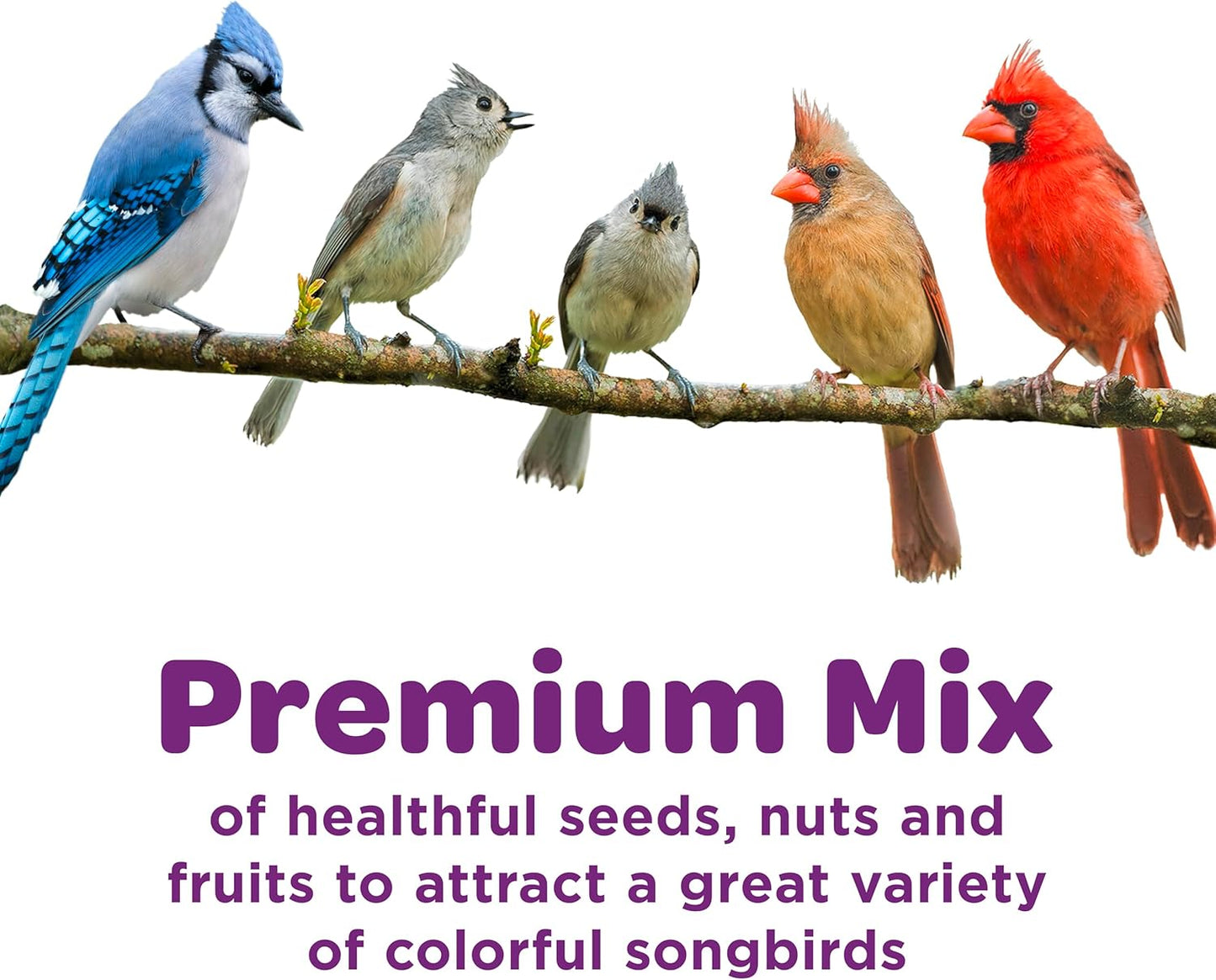 Kaytee Nut & Fruit Wild Bird Seed: A Premium Blend for Your Feathered Friends