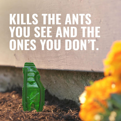TERRO Outdoor Liquid Ant Bait Stakes: A Simple Solution to Your Ant Problem