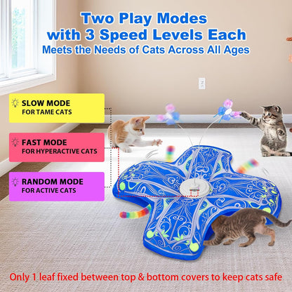 Qraxond Interactive Cat Toys: A Game-Changer for Indoor Cats