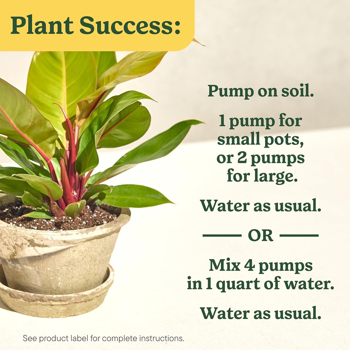 Miracle-Gro Indoor Plant Food: A Game-Changer for Your Houseplants