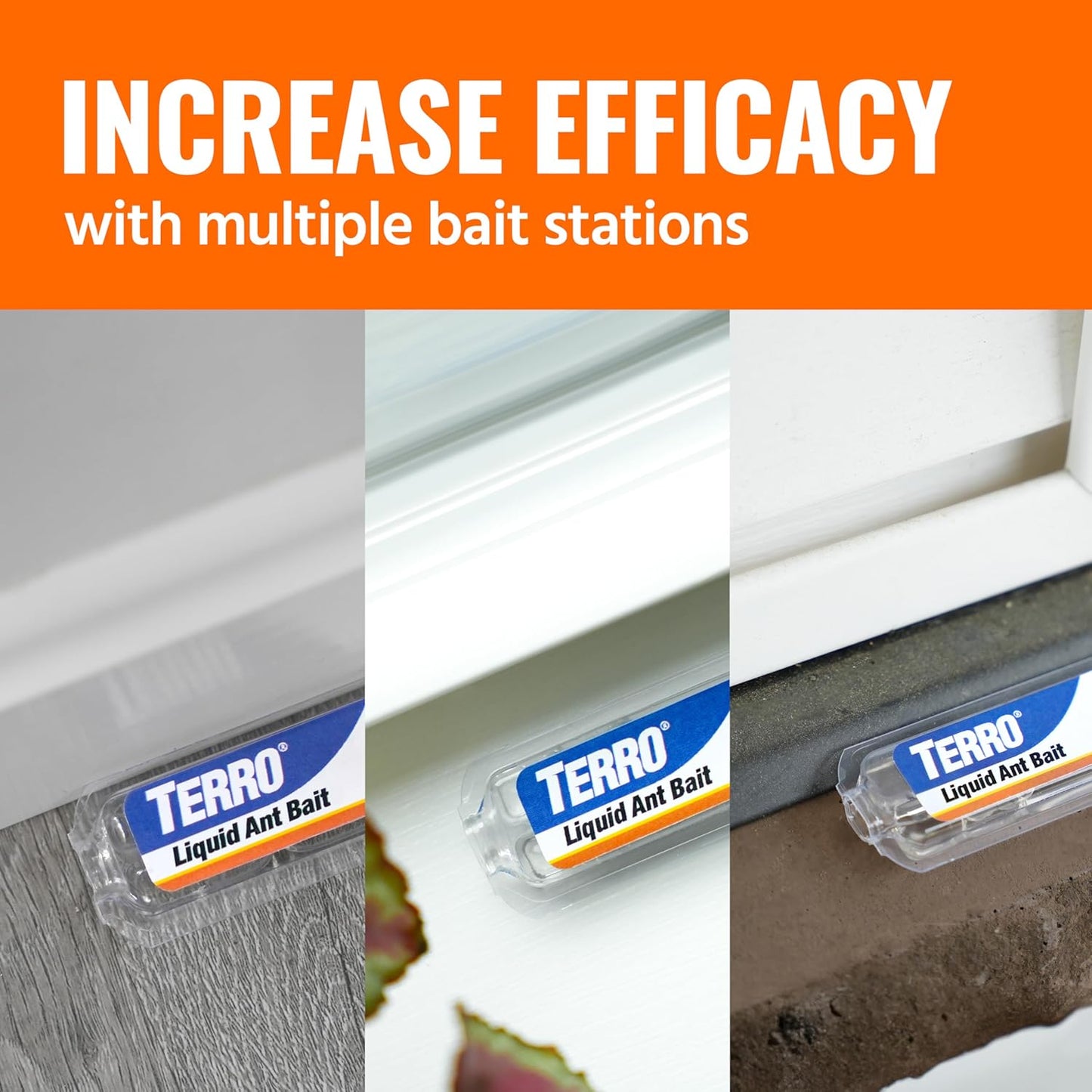 TERRO T300B Liquid Ant Killer Bait Stations 12-Pack - Indoor Ant Traps with Borax Formula, Kills the Queen & the Entire Colony