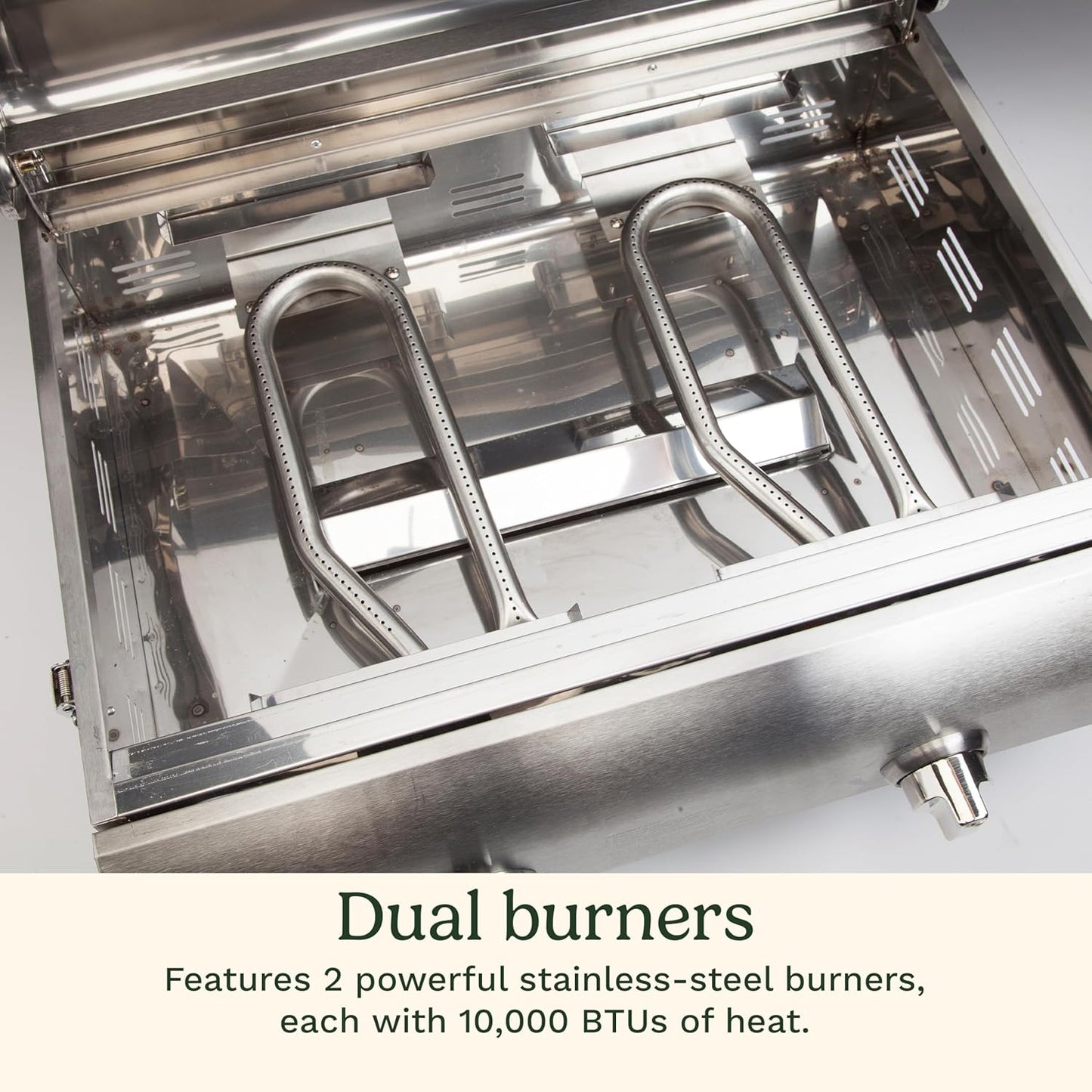 Cuisinart Chef's Style Tabletop Portable Propane Grill Review