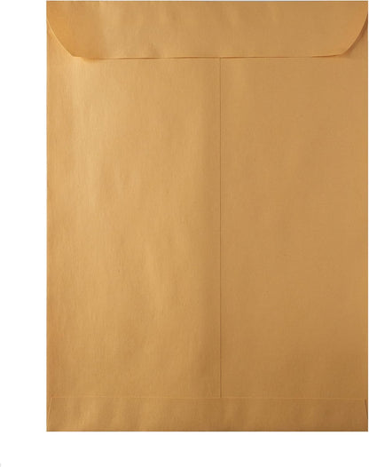 Hilroy Kraft-Briefumschläge, 22,9 x 30,5 cm, Press-it Seal-it Verschluss, 25 Stück pro Packung (76044)