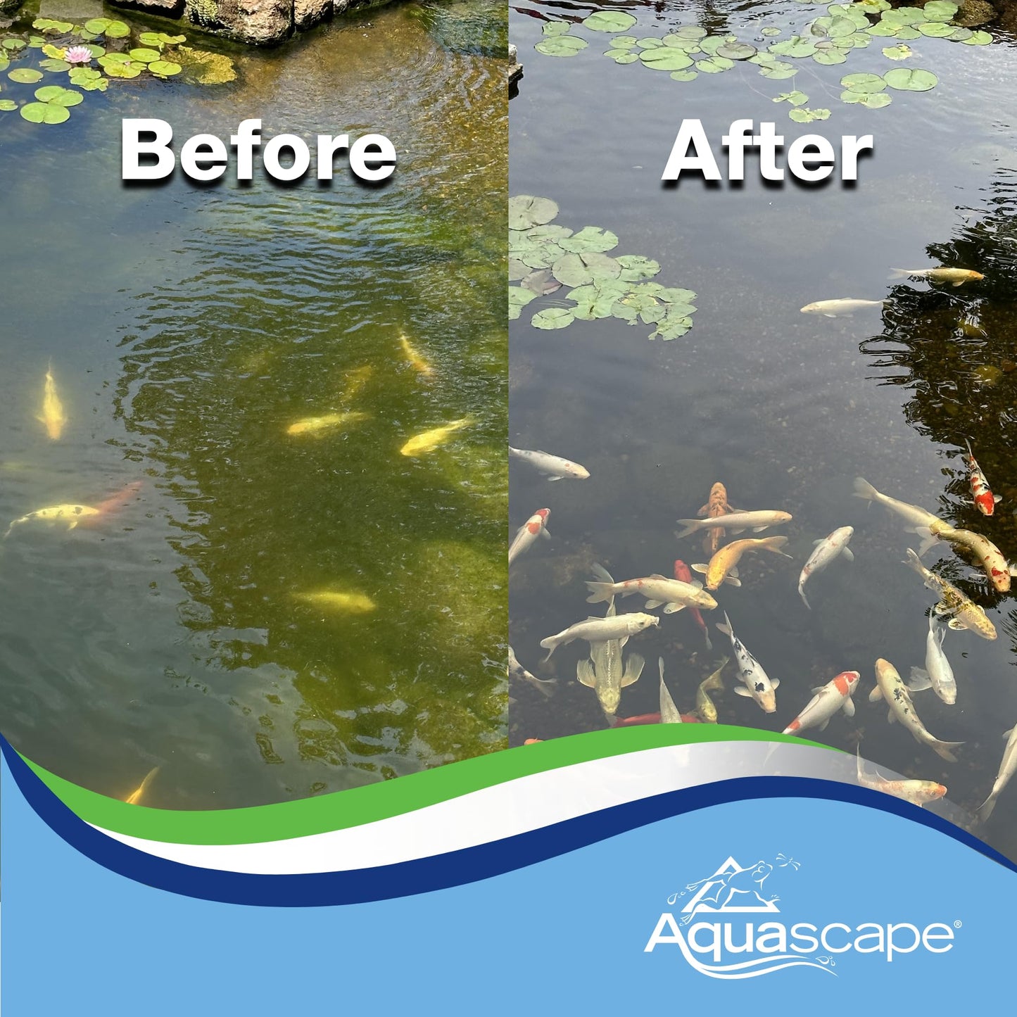 Aquascape Algaecide for Pond, Waterfall, and Water Features, 2.5-Gallon, 96053