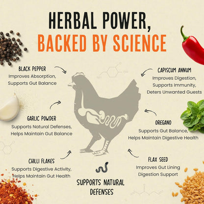 Roosty's Naturals Flock Armor: A Game-Changer for Your Chicken Flock's Health