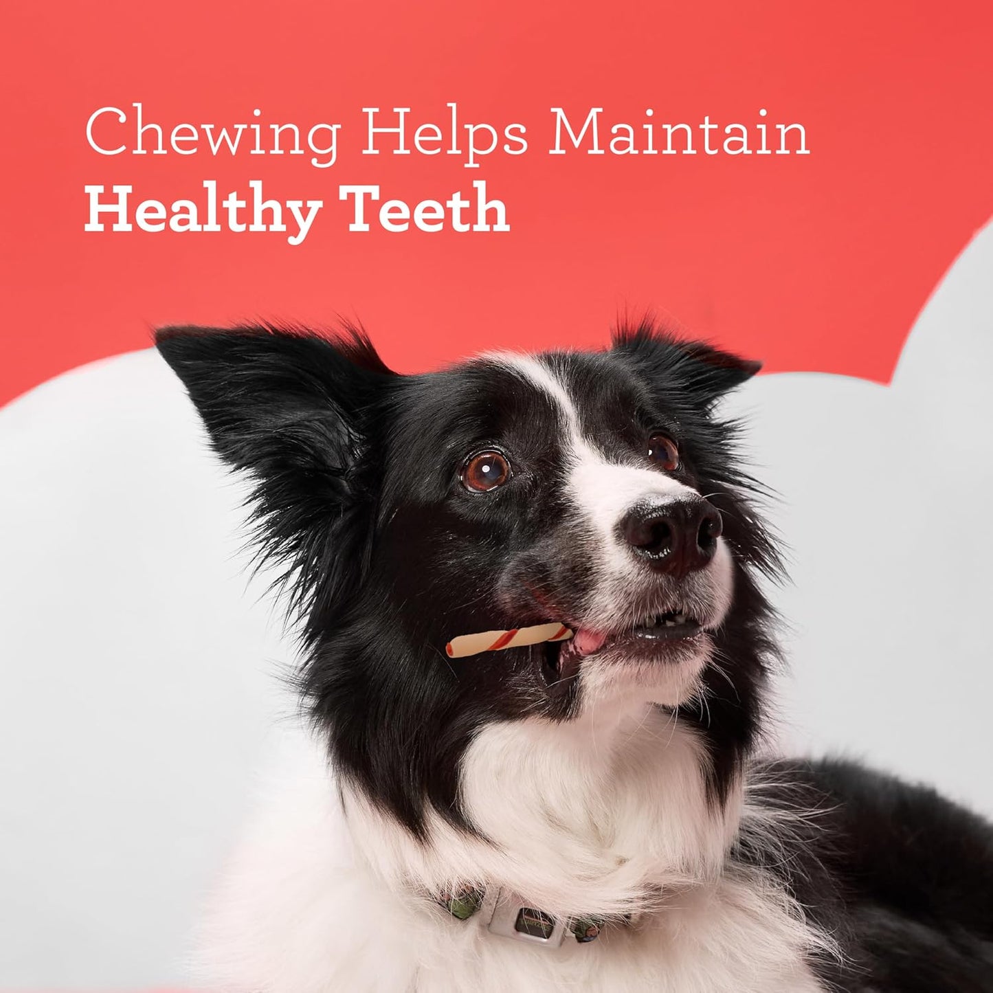 DreamBone Twist Sticks Chews for Dogs