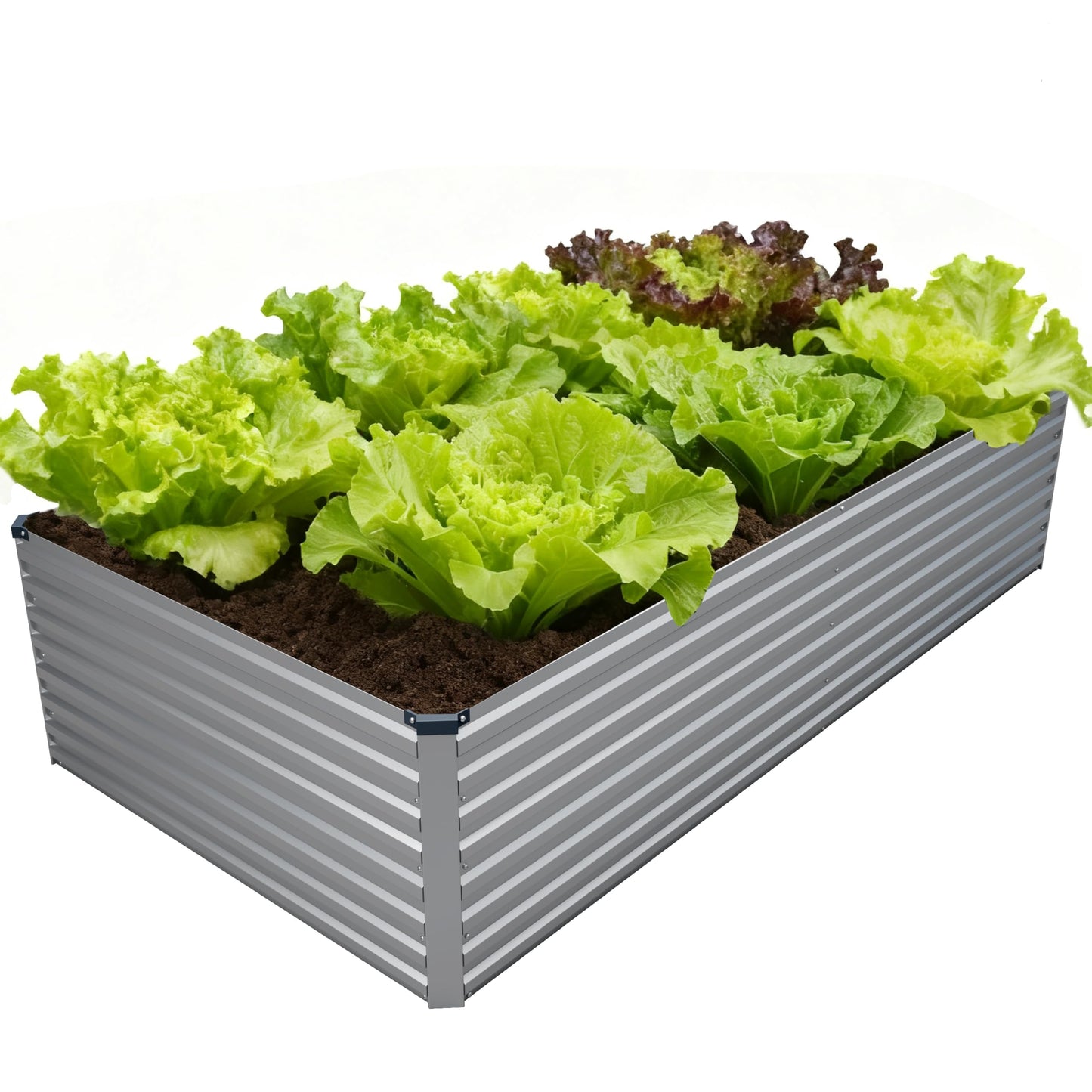 DIIYIV Galvanized Raised Garden Bed Kit Outdoor Patio,6x3x2ft Large Rectangular Metal Planter Boxes,Deep Root Box Planter for Gardening,Vegetables,Flowers,Herbs-Silver