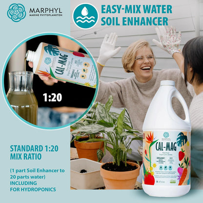 MARPHYL Universaldünger – Organischer, nährstoffreicher Dünger & Bodenverbesserer für Zimmer- & Gartenblumen, Gemüse, Sukkulenten, Bambus & Hydrokulturen
