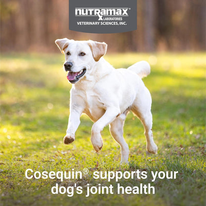 Nutramax Cosequin for Dogs: A Top-Notch Joint Health Supplement