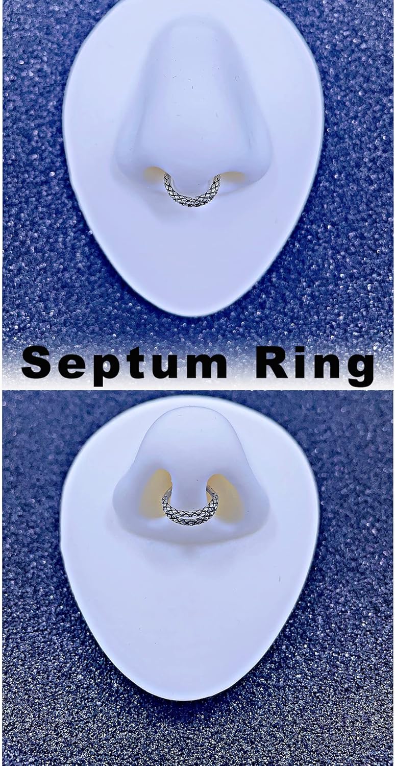 TDEBA Conch Piercing Schmuck, 316L Chirurgenstahl Segment Nasenring, CZ Knorpel Ohrringe, Lippenring, Segment Helix Rook Nahtloser Clicker Piercing Schmuck
