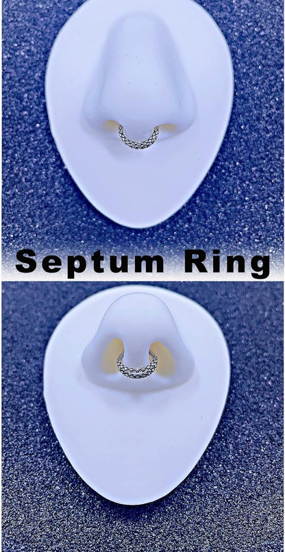 TDEBA Conch Piercing Schmuck, 316L Chirurgenstahl Segment Nasenring, CZ Knorpel Ohrringe, Lippenring, Segment Helix Rook Nahtloser Clicker Piercing Schmuck