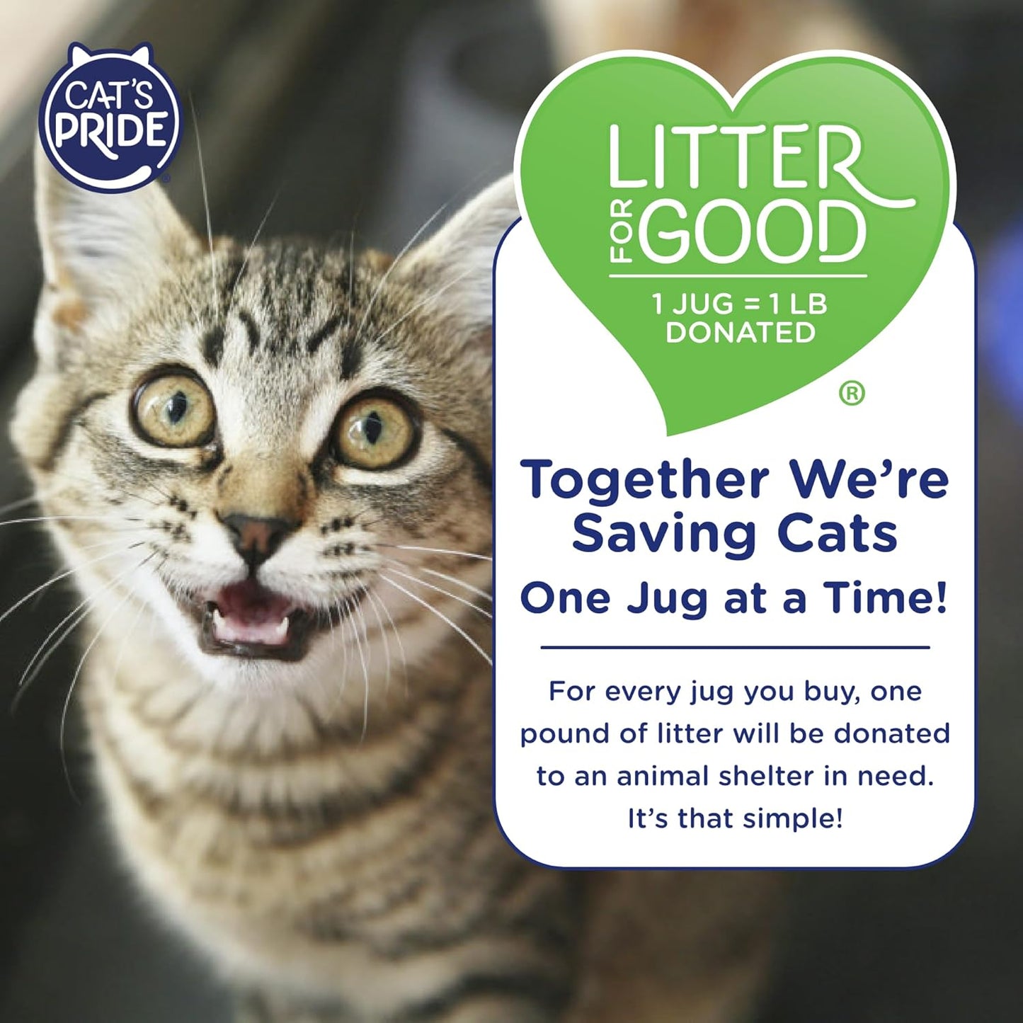Cat's Pride NEW Antibacterial Cat Litter: A Game-Changer for Odor Control