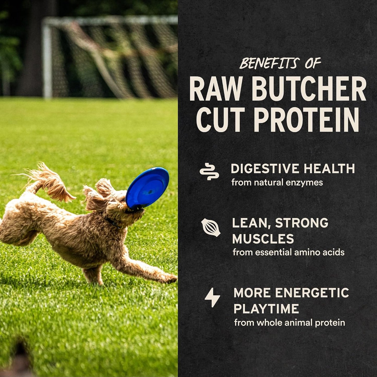 Vital Essentials Freeze Dried Dog Treats: A Cut Above the Rest