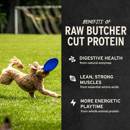 Vital Essentials Freeze Dried Dog Treats: A Cut Above the Rest