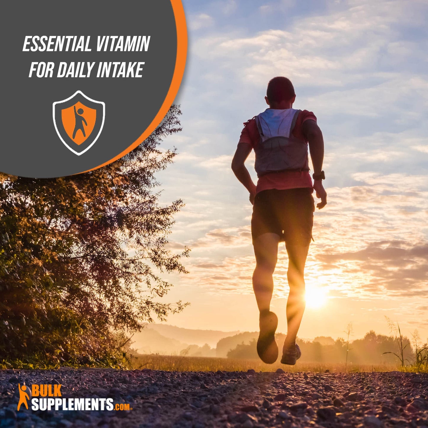 BulkSupplements.com Thiamine HCl Powder - Thiamine Hydrochloride - Thiamine B1 Supplement - B1 Vitamins - Thiamine 100mg - Thiamine Powder - 100mg per Serving (5 Kilograms - 11 lbs)