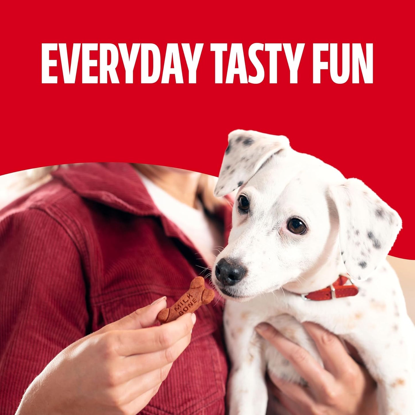 Milk-Bone Soft & Chewy Dog Treats: A Delicious and Wholesome Reward