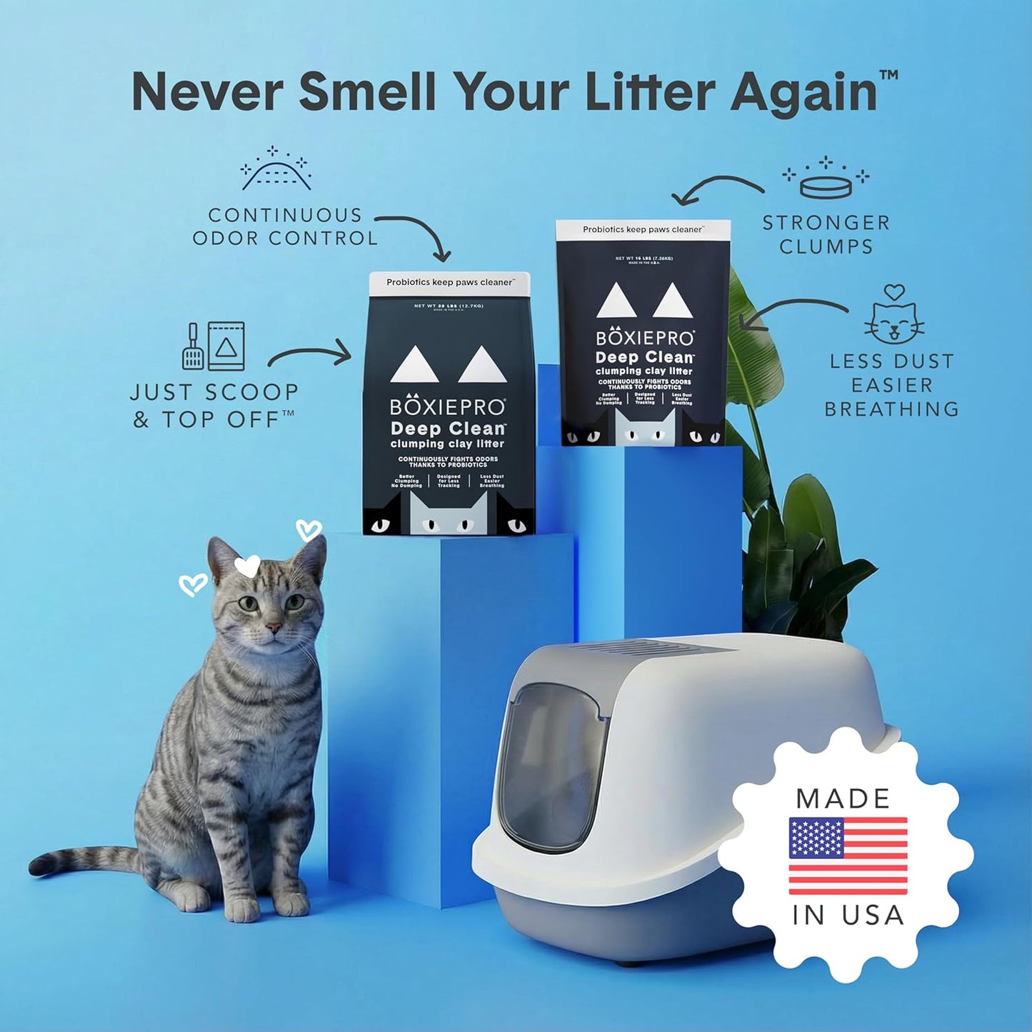 Boxie Probiotic Cat Litter: A Game-Changer for Odor Control and Easy Cleaning