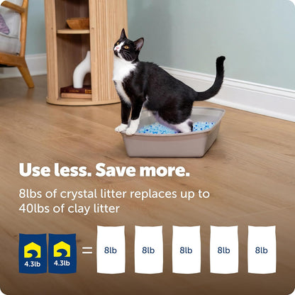 PetSafe ScoopFree Premium Crystal Cat Litter: A Game-Changer for Cat Owners