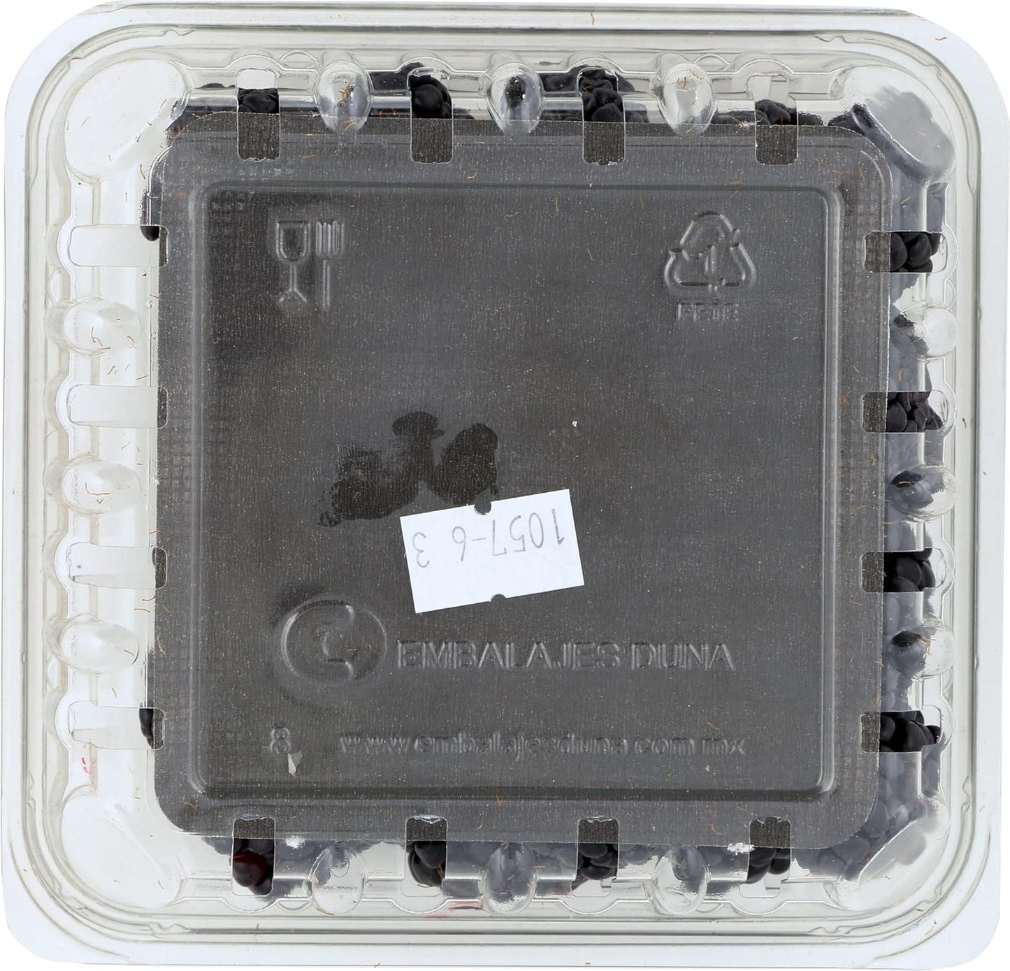Fresh Blackberries for Snacking and More