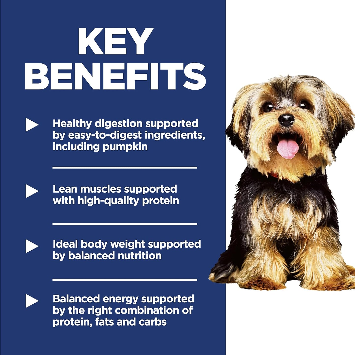 Hill's Science Diet Adult 1-6 Small & Mini Dry Dog Food Review