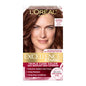 1 Count (Pack of 1)6RB Light Reddish Brown