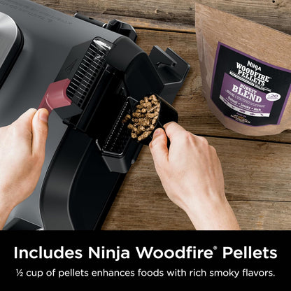 Ninja Woodfire Outdoor Grill & Smoker Review