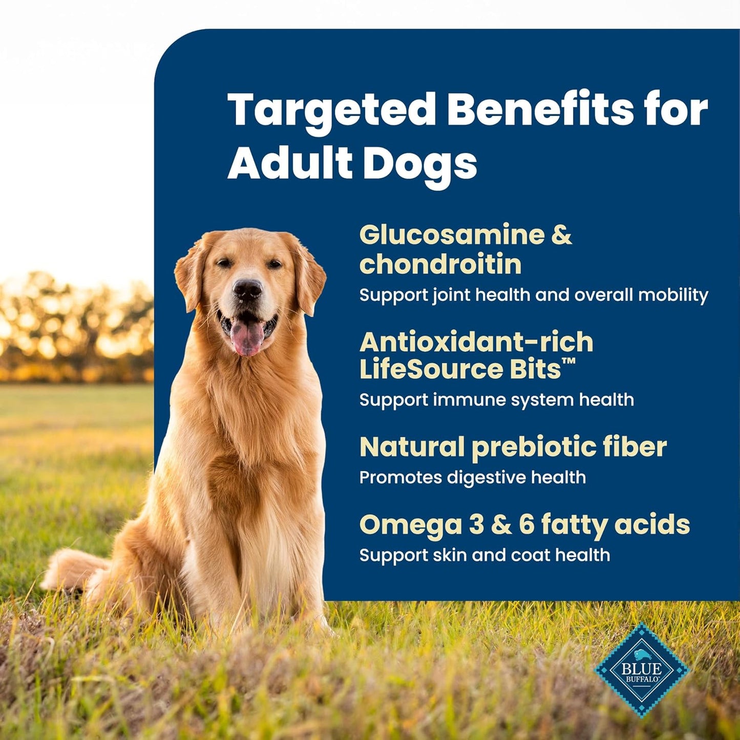 Blue Buffalo Life Protection Formula: A Nutritious Choice for Your Adult Dog