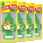 LITTLE TREES Car Air Freshener | Hanging Tree Provides Long Lasting Scent for Auto and Home | Black Ice, 24 Air Fresheners