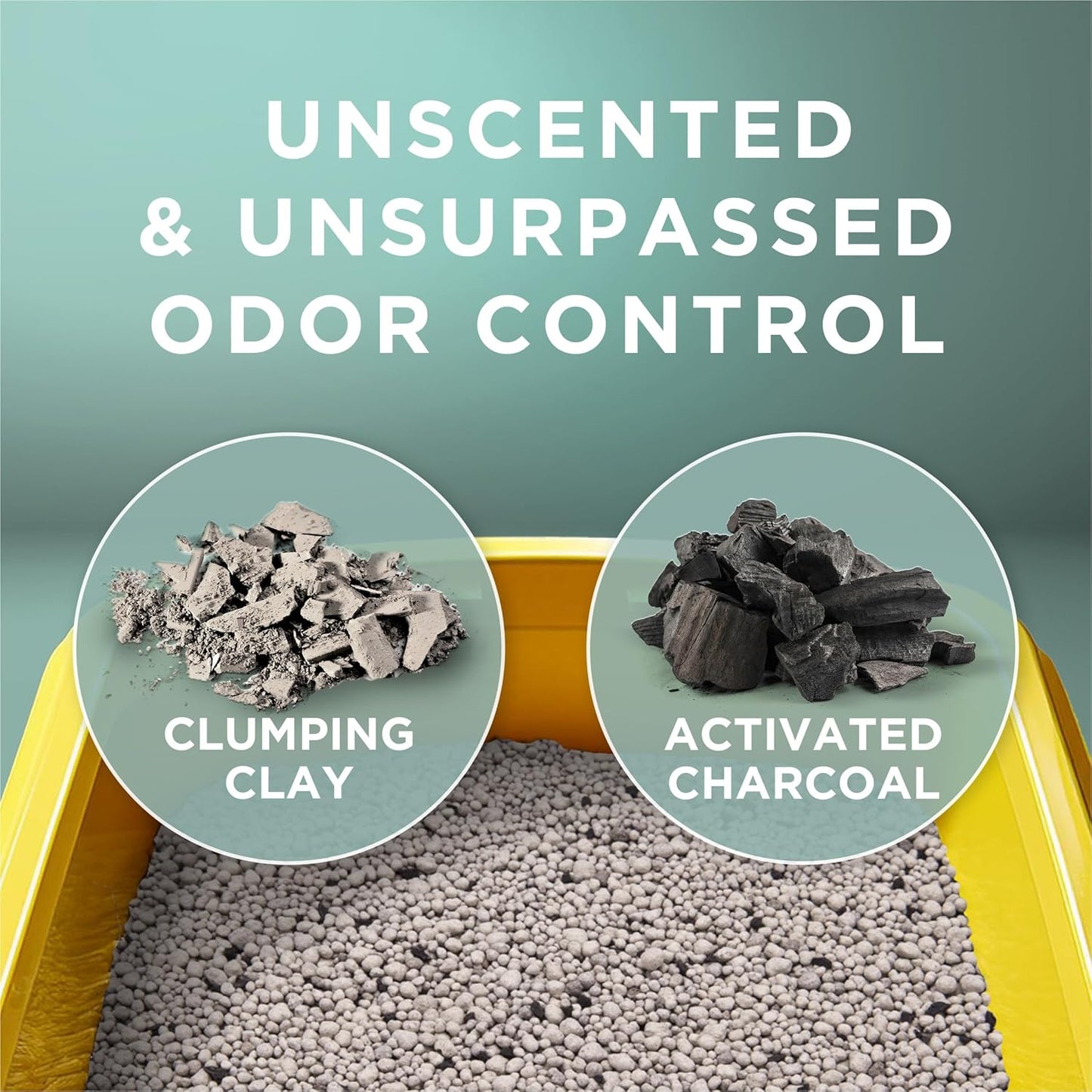 Purina Tidy Cats Free and Clean Unscented Clumping Cat Litter Review
