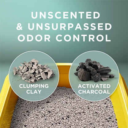 Purina Tidy Cats Free and Clean Unscented Clumping Cat Litter Review