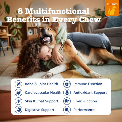 Zesty Paws Dog Multivitamin: A Comprehensive Supplement for Your Furry Friend
