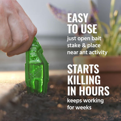 TERRO Outdoor Liquid Ant Bait Stakes: A Simple Solution to Ant Infestations
