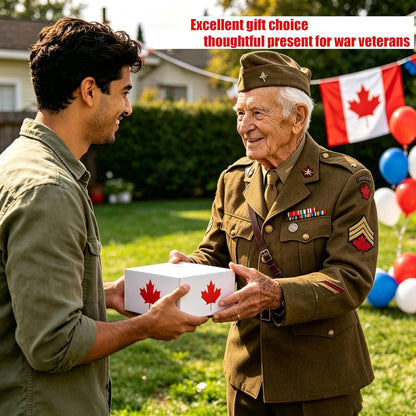 Canadian Flag Throw Pillow Covers: A Touch of Patriotic Style for Your Home