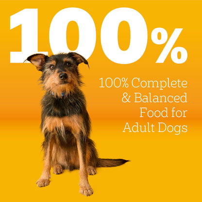 Pedigree Adult Dry Dog Food Review: A Balanced Choice for Your Furry Friend
