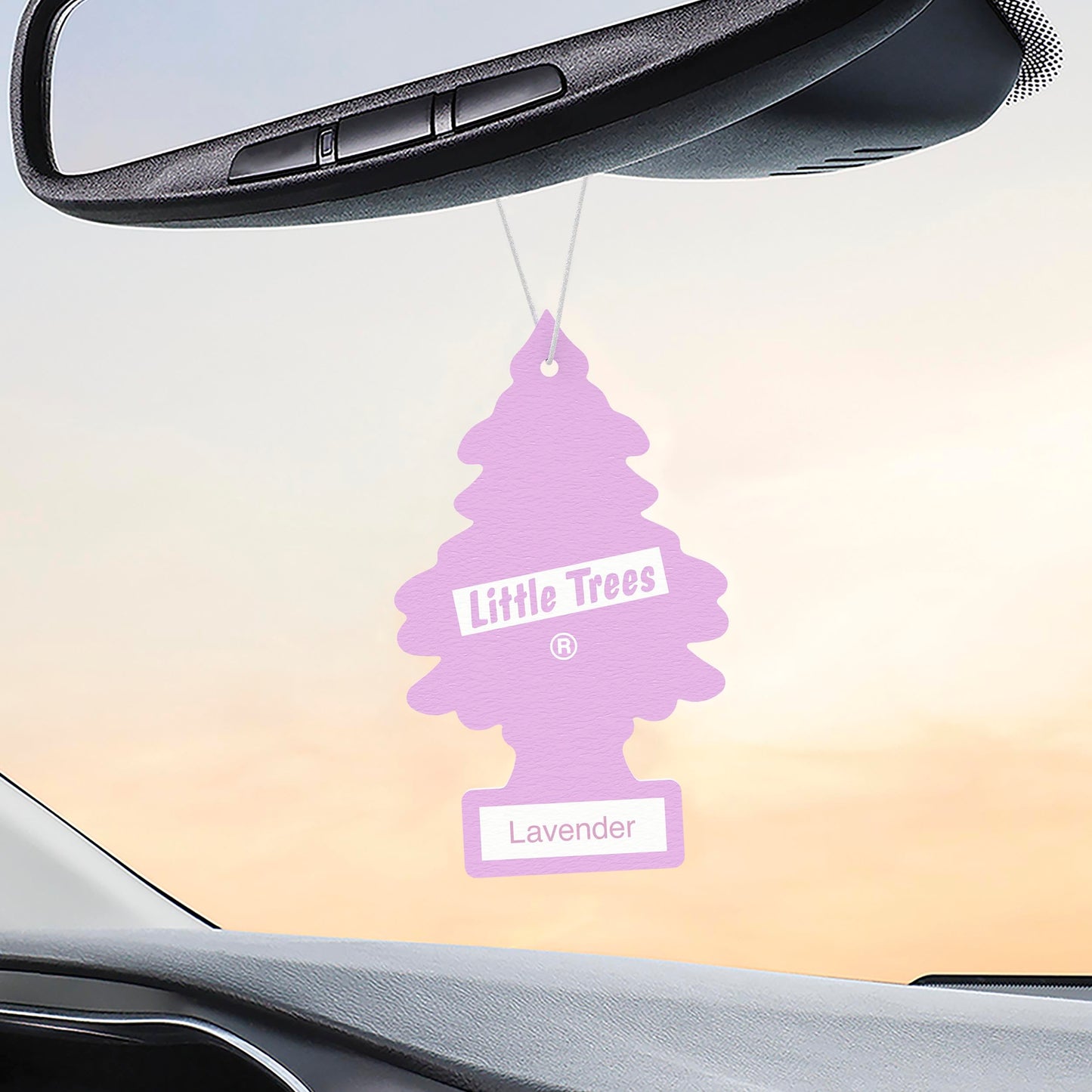 LITTLE TREES Car Air Freshener | Hanging Tree Provides Long Lasting Scent for Auto and Home | Black Ice, 24 Air Fresheners