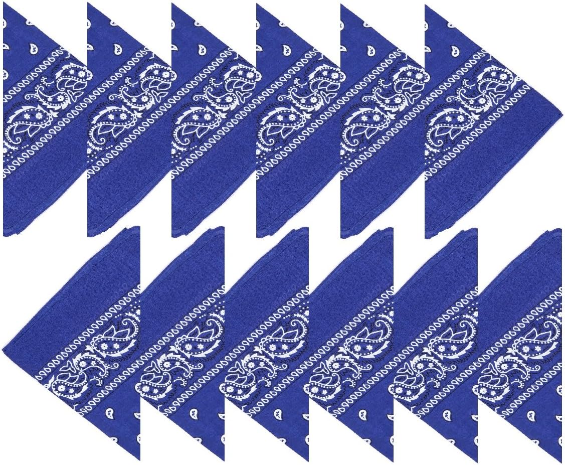 12 Bleu roi