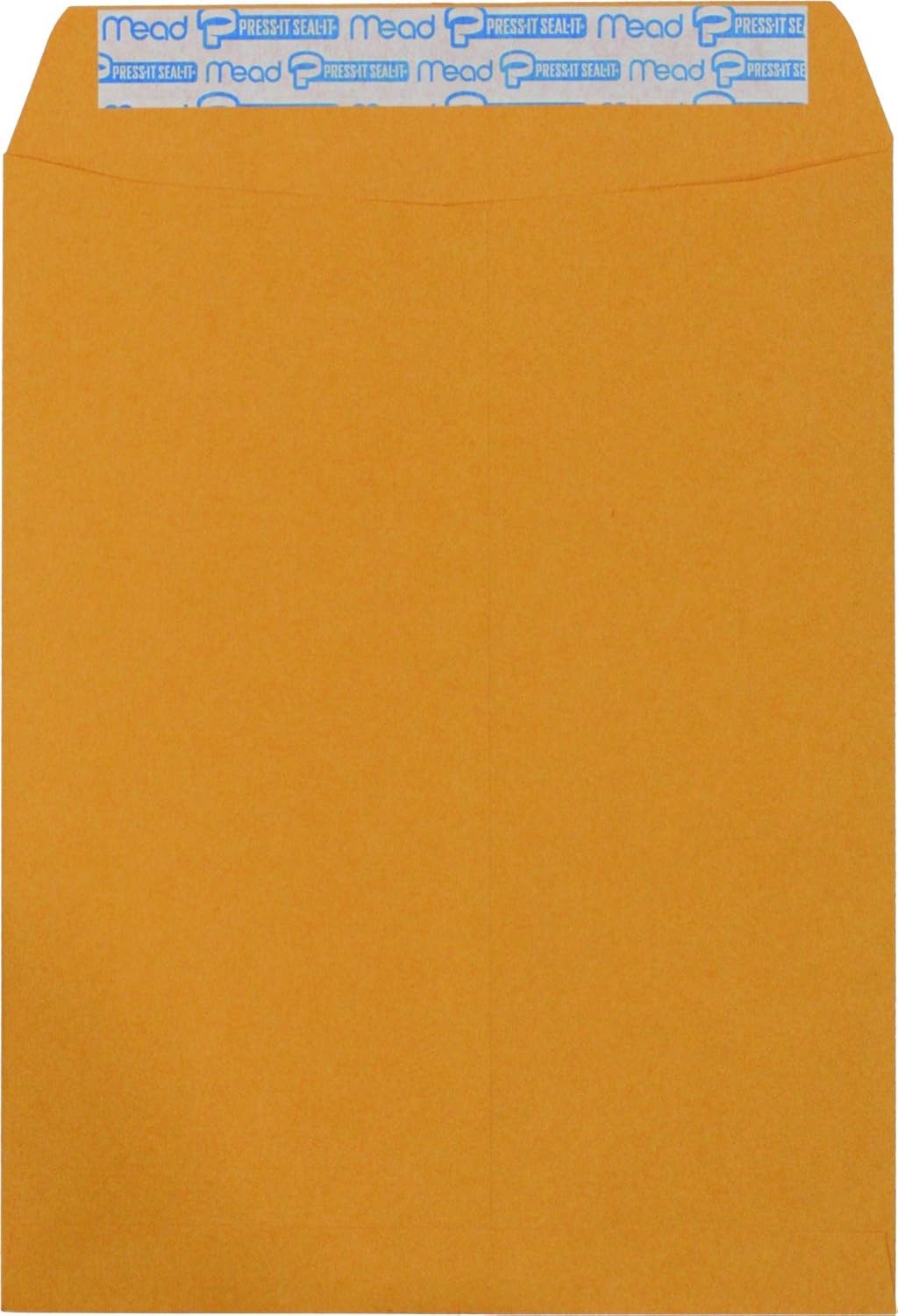 Hilroy Kraft-Briefumschläge, 22,9 x 30,5 cm, Press-it Seal-it Verschluss, 25 Stück pro Packung (76044)