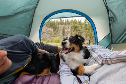 Coleman Skydome Tent with 5 Minute Setup, 2/4/6/8-Person Weatherproof Tent with Rainfly & Carry Bag, 20% More Headroom Than Traditional Canopies