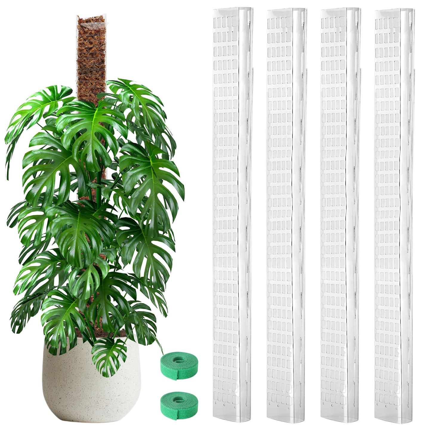 EOX 4 Pcs 24 Inch Plastic Moss Pole for Monstera, Large D Shaped Poles for Climbing Plants Work with Sphagnum Moss, 90 Inch Plant Stake Set of 4, Garden Ties