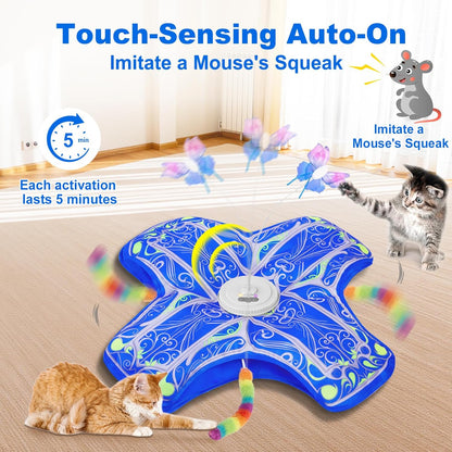 Qraxond Interactive Cat Toys: A Game-Changer for Indoor Cats