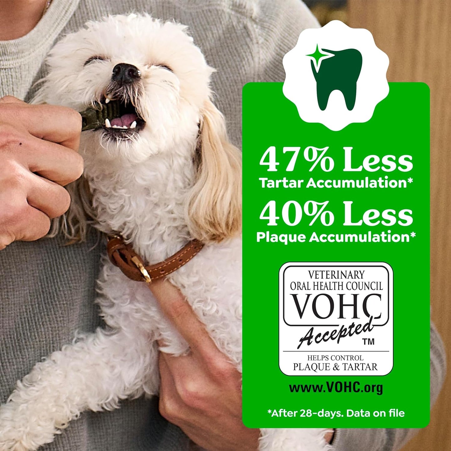 Greenies Dental Dog Treats: A Veterinarian-Recommended Solution for a Healthier Smile