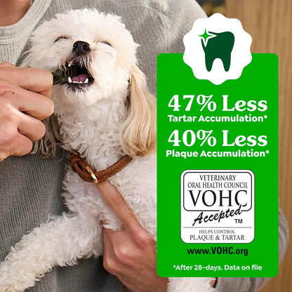 Greenies Dental Dog Treats: A Veterinarian-Recommended Solution for a Healthier Smile