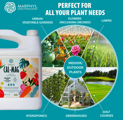 MARPHYL Universaldünger – Organischer, nährstoffreicher Dünger & Bodenverbesserer für Zimmer- & Gartenblumen, Gemüse, Sukkulenten, Bambus & Hydrokulturen