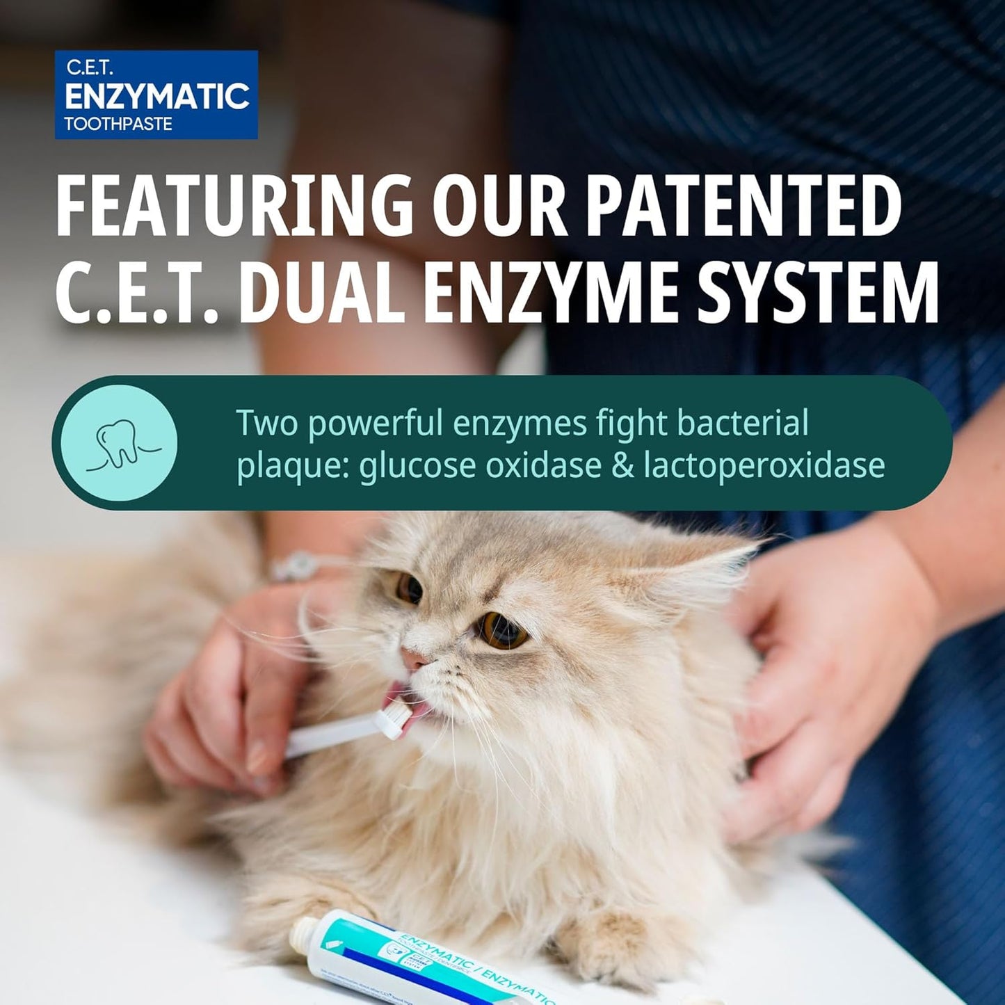 Virbac C.E.T. Enzymatic Toothpaste: A Game-Changer for Pet Dental Care