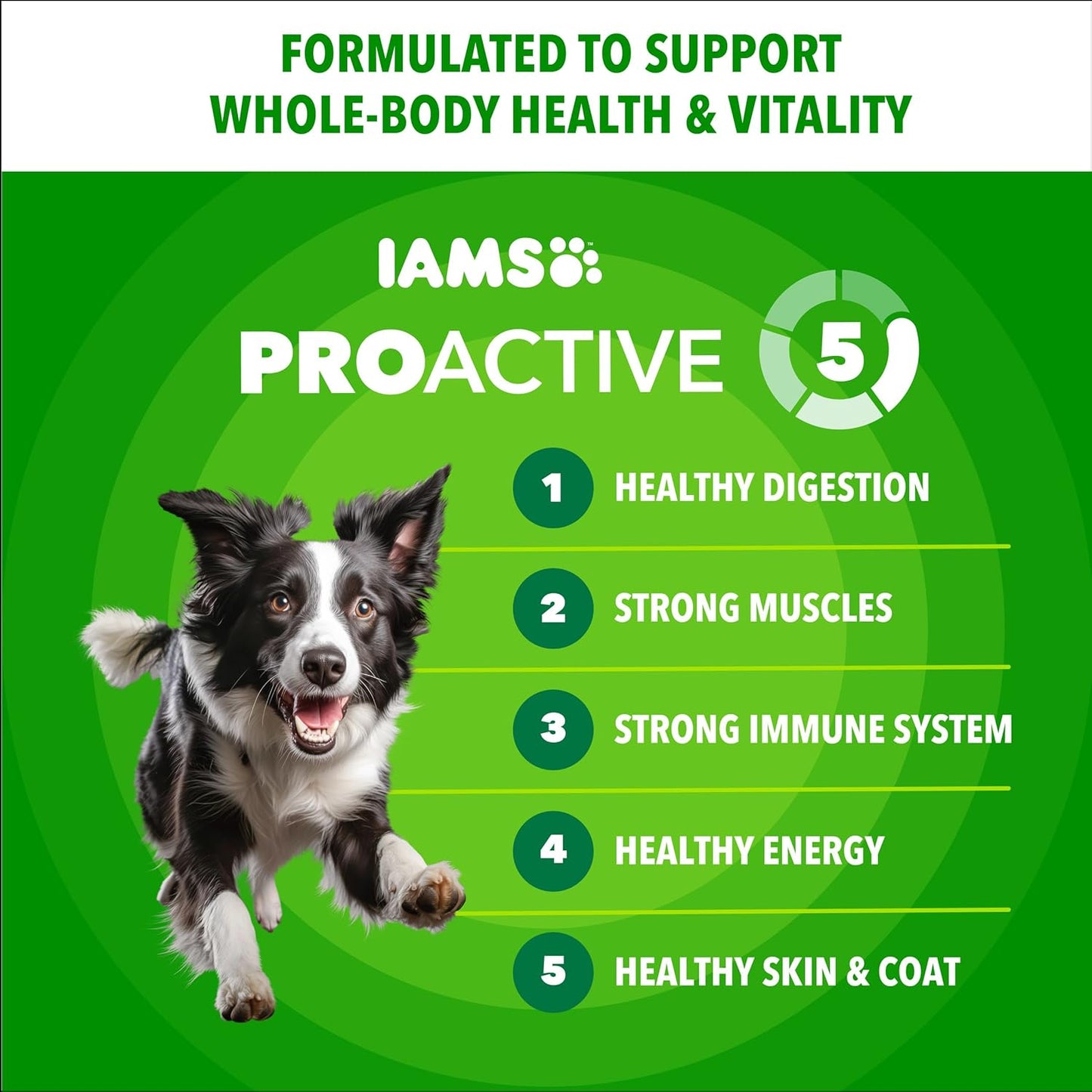 IAMS Proactive Health Adult Minichunks: A Nutritious Choice for Your Furry Friend