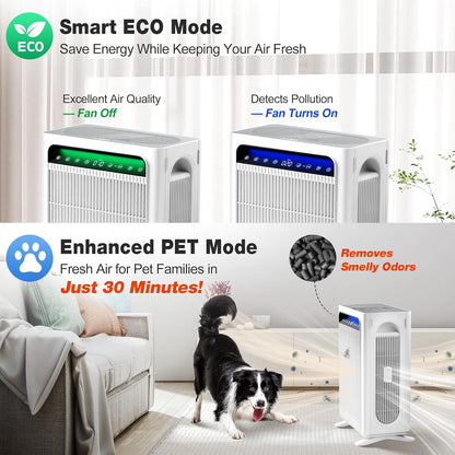 KNKA Air Purifier Review: Breathe Easy in Your Home