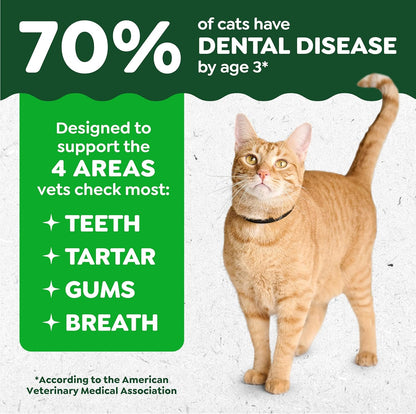 Greenies Cat Treats: The Veterinarian-Recommended Dental Chews