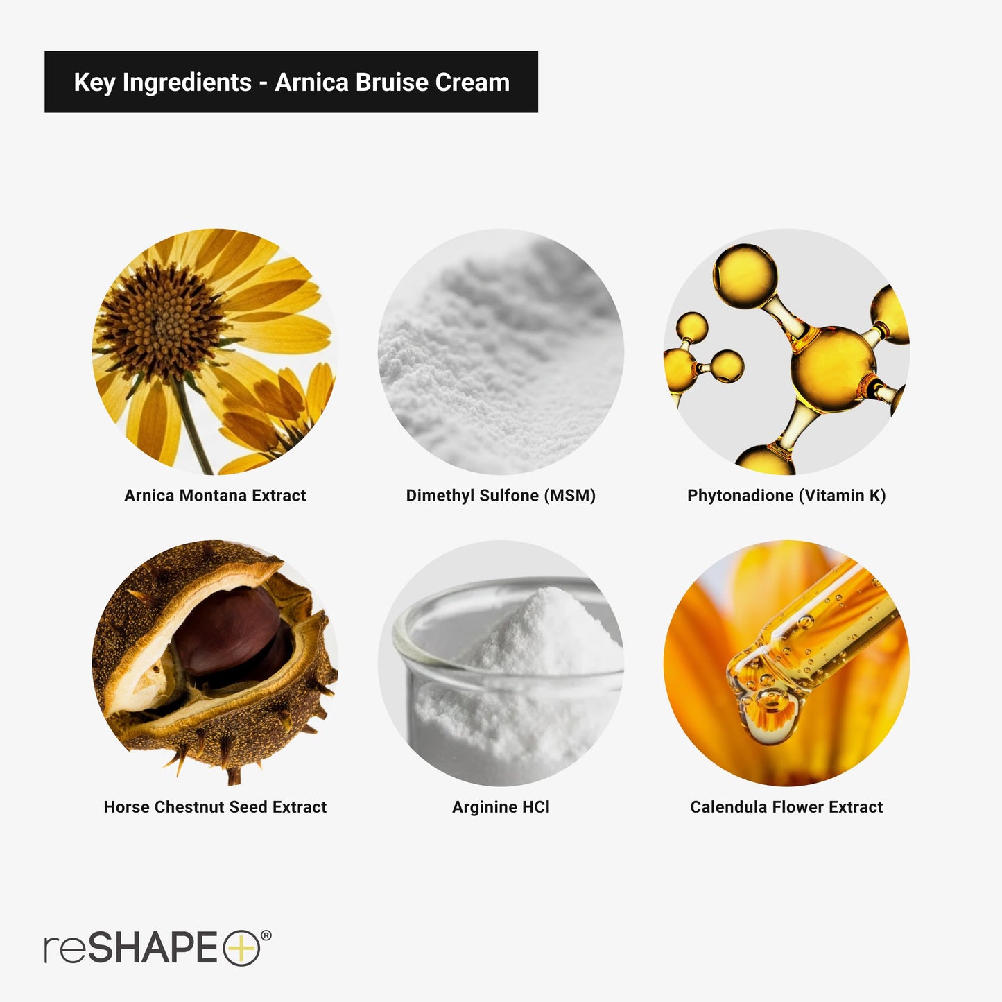 Reshape+ Arnica Bruise Relief Topical Cream For Bruising, Swelling, & Discoloration On Skin, Natural Skin Care Homeopathic Arnica Lotion W/Vitamin K, Horse Chestnut, & Collagen, Large 8 Fl Oz