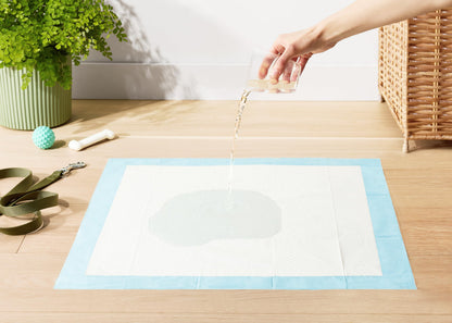 Amazon Basics Leak-Proof Dog and Puppy Potty Training Pee Pads with Quick-Dry 5-Layer Super Absorbent Design for Housebreaking, Regular Size 22x22", Blue & White, 150 Count
