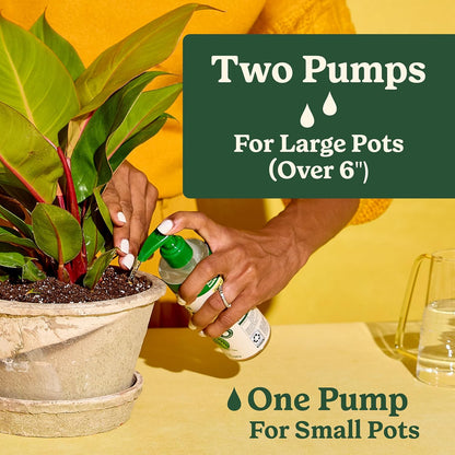 Miracle-Gro Indoor Plant Food: A Game-Changer for Your Houseplants